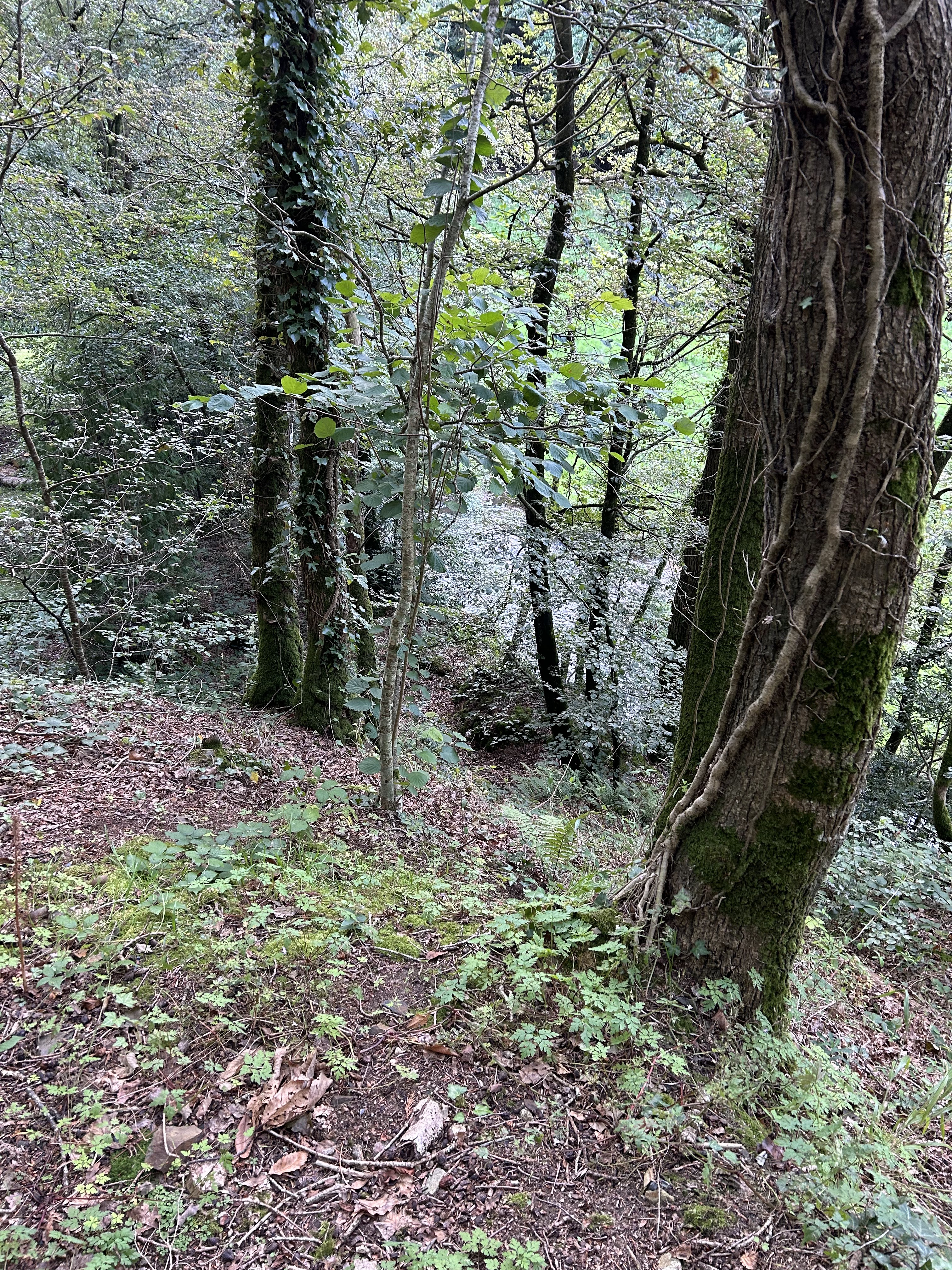 Photo n° 5 de l'avis de Fab.a fait le 15/08/2023 à 20:25