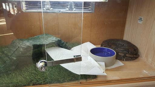 Reptile Store «Jurassic Pet Supplies», reviews and photos, 695 W Holt Ave #104, Pomona, CA 91768, USA