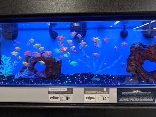 Pet Supply Store «Petco Animal Supplies», reviews and photos, 6761 Westminster Ave, Westminster, CA 92683, USA