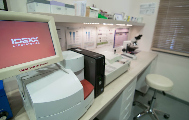 THE ANIMAL CLINIC - Κτηνίατρος