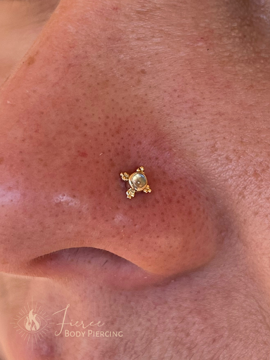 Explore 3 sisters tattoo ideas, creative tattoo ideas in Tucson, available at Fierce Body Piercing NORTH