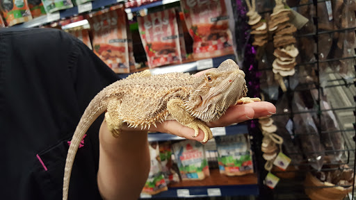 Pet Store «Paws Natural Pet Emporium», reviews and photos, 8551 W Gage Blvd, Kennewick, WA 99336, USA