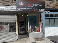 Pooch Purrfect - Photo 4 - Car repair in Brooklyn, NY, New York