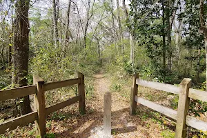 Benjamin Louis VanDuuren Park image