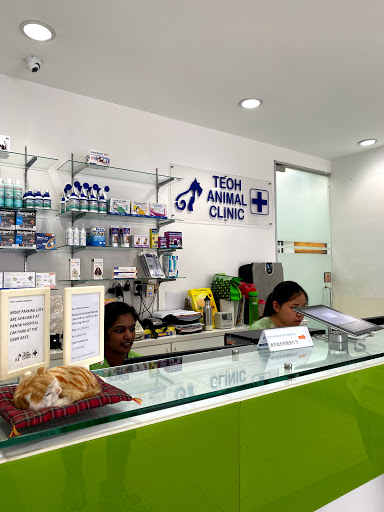 Teoh Animal Clinic