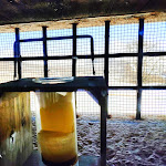 Photo n°8 de l'avis de Paolo.u fait le 07/03/2021 à 16:33 sur le  Rifugio Malga Moscarda à Bosco Chiesanuova