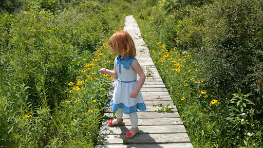 Nature Preserve «Kishwauketoe Nature Conservancy», reviews and photos, 251 Elkhorn Rd, Williams Bay, WI 53191, USA