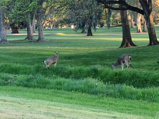 Nature Preserve «Effie Yeaw Nature Center», reviews and photos, 2850 San Lorenzo Way, Carmichael, CA 95608, USA
