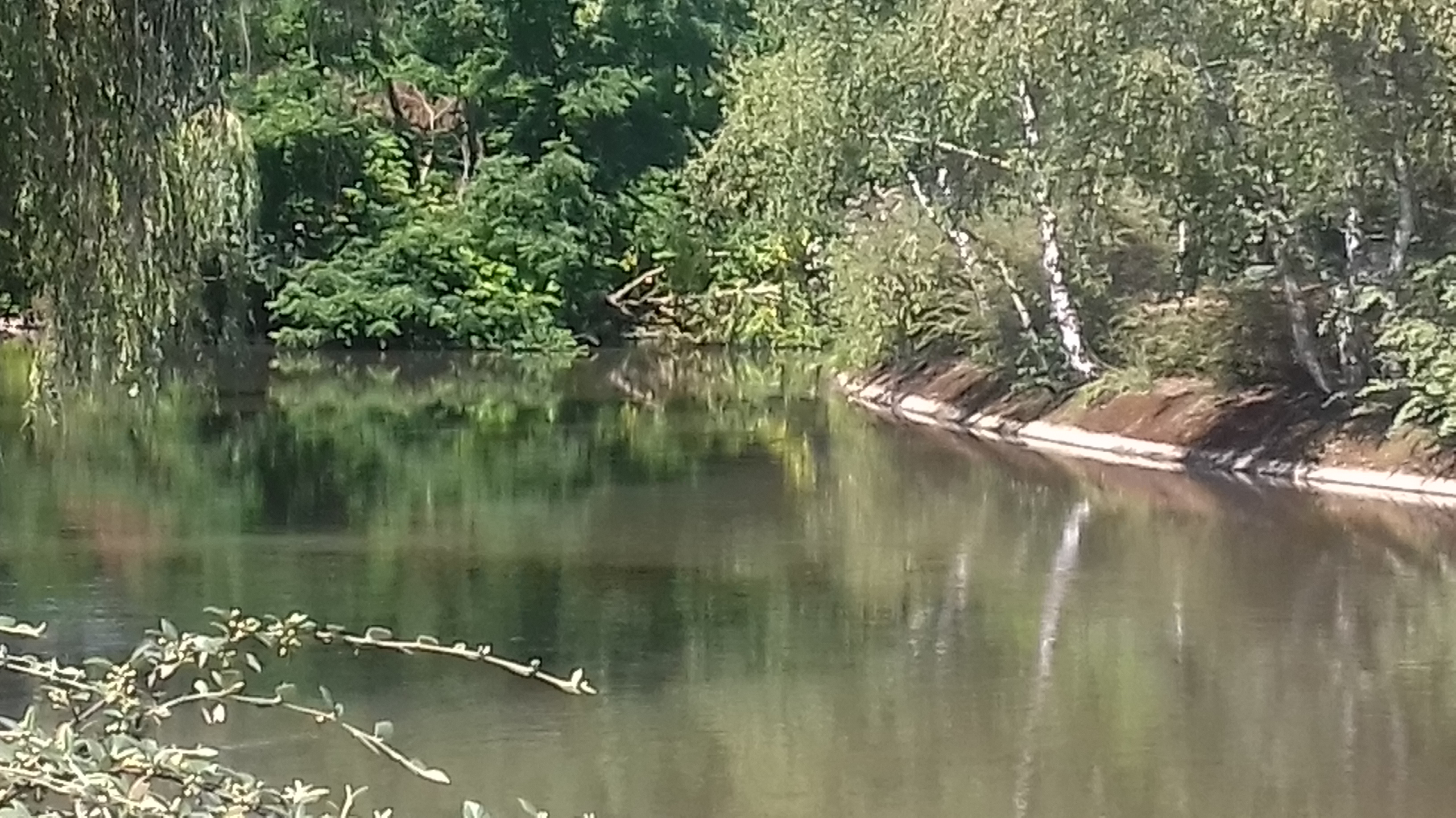 Photo n° 10 de l'avis de Roger.a fait le 11/08/2018 à 13:57