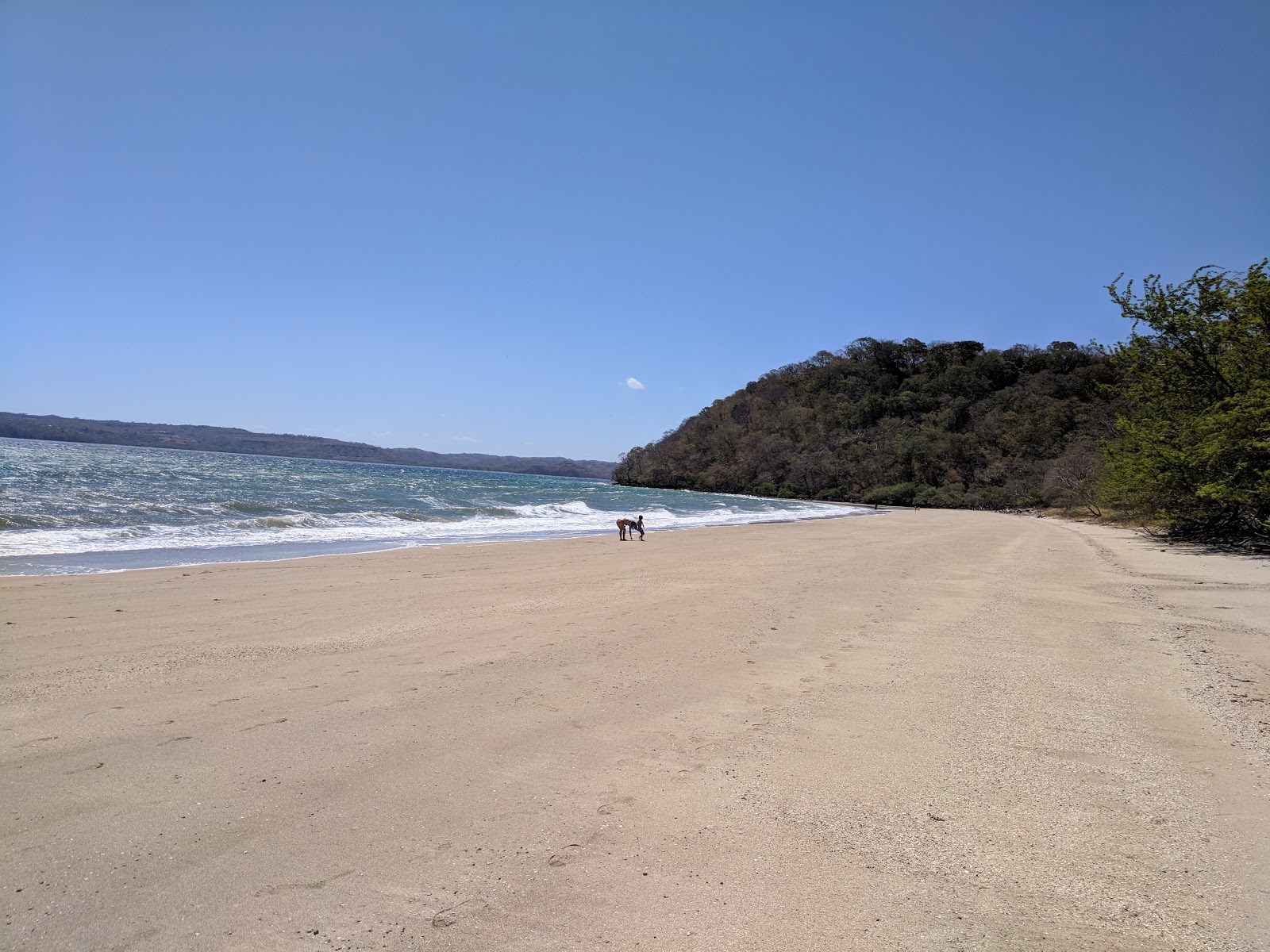 Photo de Manzanillo beach avec un rivage droit