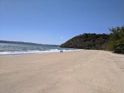 Photo de Manzanillo beach avec un rivage droit