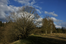 Klakkebjerg, Ørsbjerg