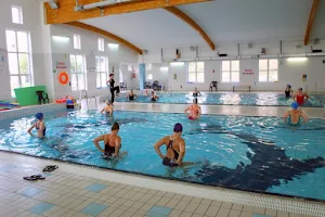 School Swimming / Fitness / Diving Argonaut image