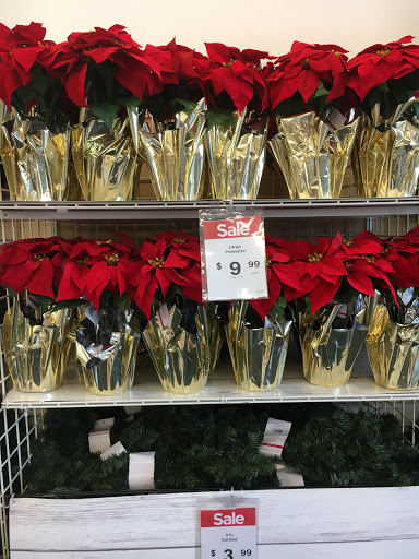 Craft Store «Michaels», reviews and photos, 410 Marshall Rd, Superior, CO 80027, USA