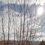 Photo n°1 de l'avis de R... fait le 04/04/2022 à 19:47 sur le  Loriana à Bolsena