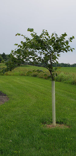 Nature Preserve «Sadsbury Woods Preserve», reviews and photos, Ramblewood Dr & Northwood Dr, Coatesville, PA 19320, USA