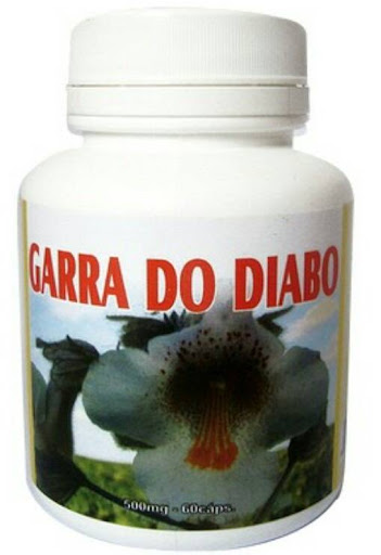 Logo da empresa - FOLHAEXOTICA.COM.BR