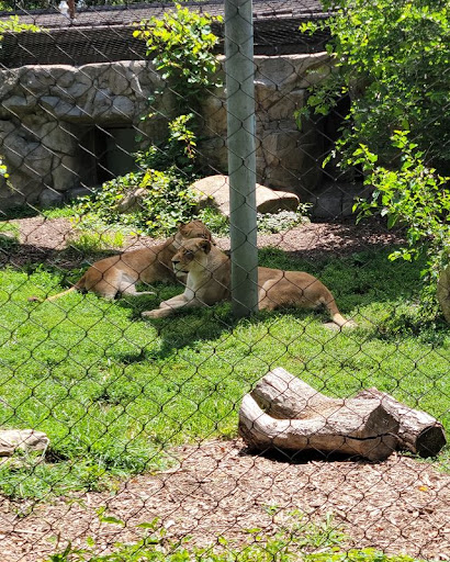 Zoo «Blank Park Zoo», reviews and photos, 7401 SW 9th St, Des Moines, IA 50315, USA