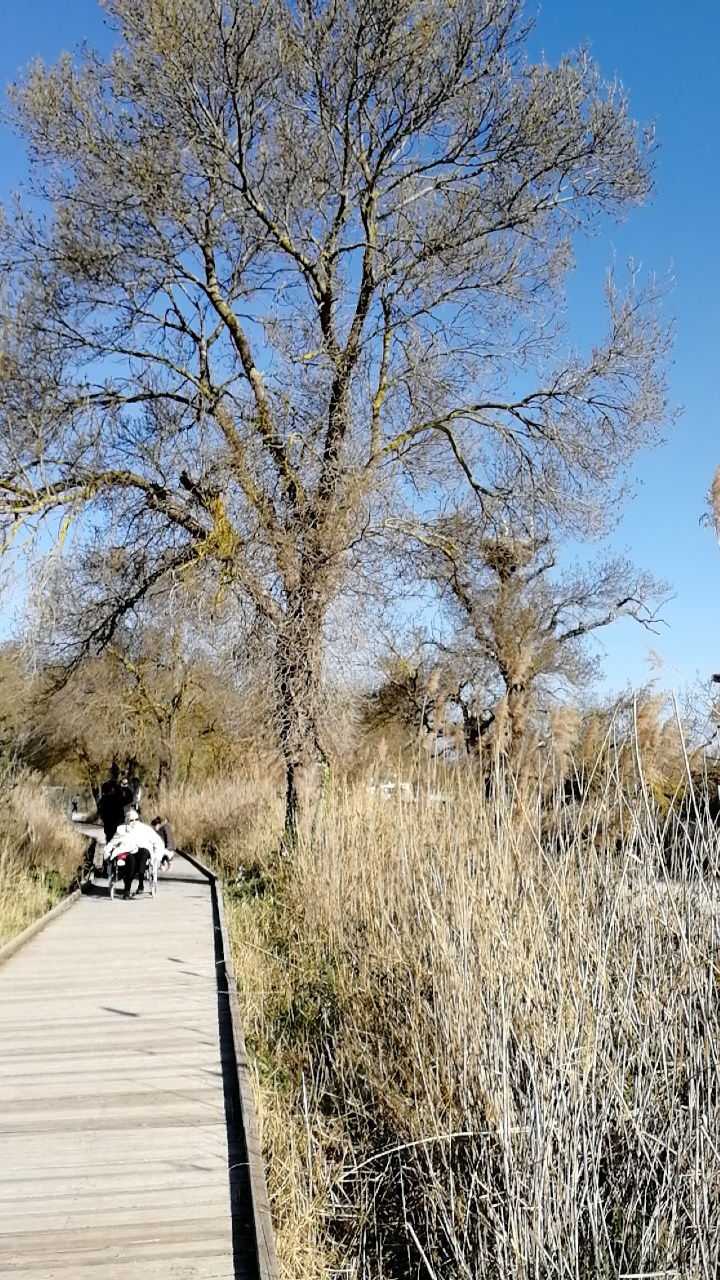 Photo n° 2 de l'avis de Marie.o fait le 05/03/2019 à 11:46