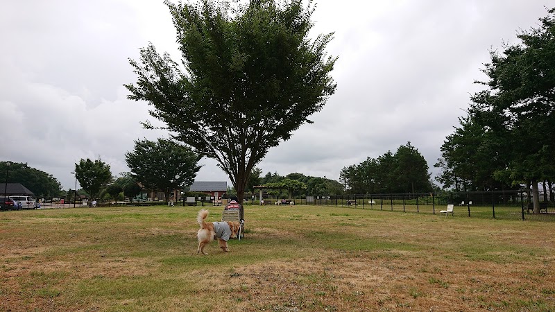 ふなばしアンデルセン公園 ドッグラン Dog Run 千葉県船橋市神保町 犬専用公園 グルコミ