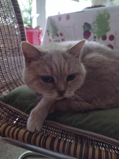 Tierarztpraxis Michael Granzow unter Perleberg, Brandenburg