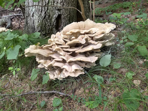 Golf Club «Crystal Lake Golf Club», reviews and photos, 940 N Broadway, Haverhill, MA 01832, USA