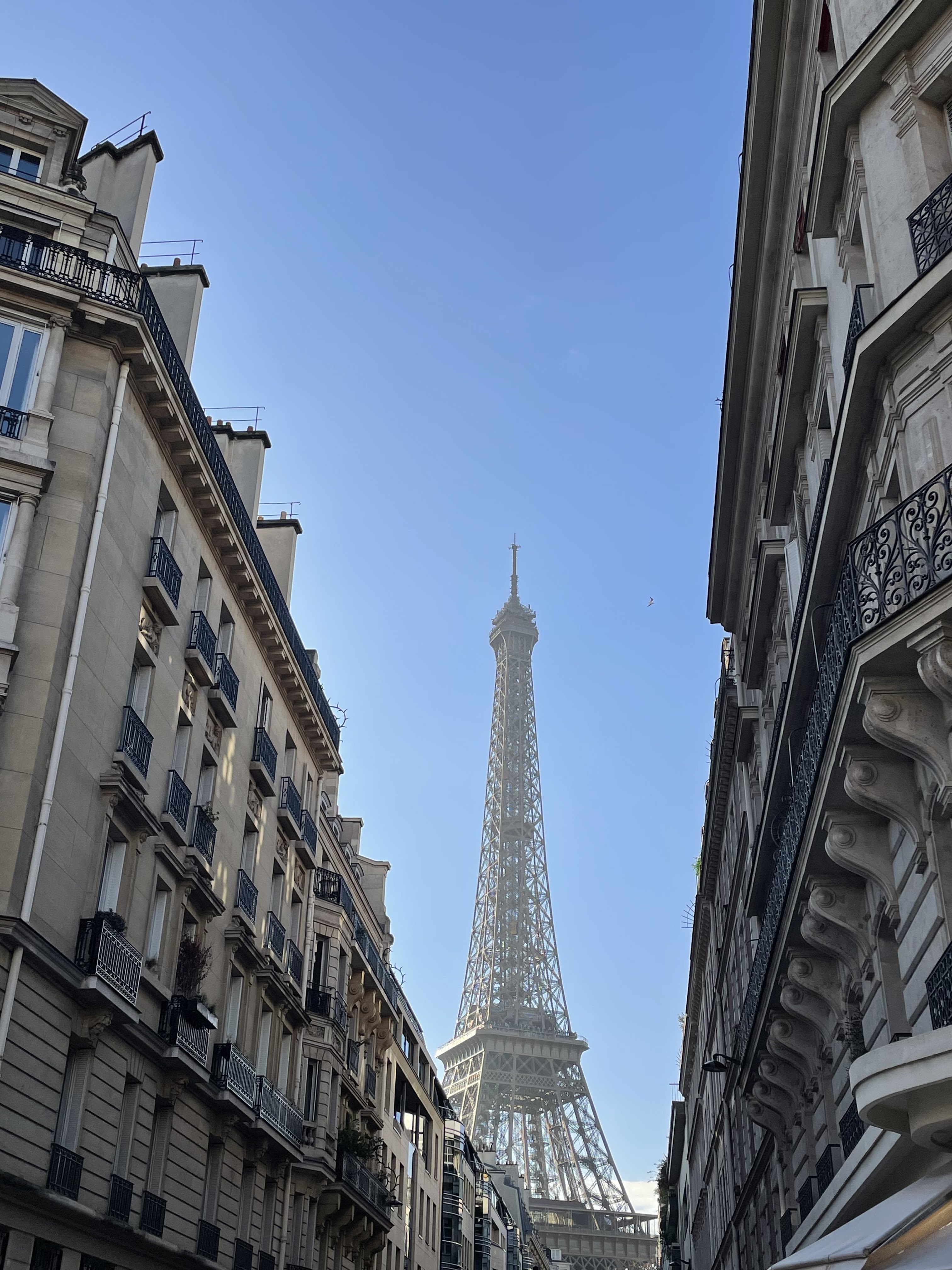Photo n° 2 de l'avis de achir.o fait le 04/12/2023 à 16:52