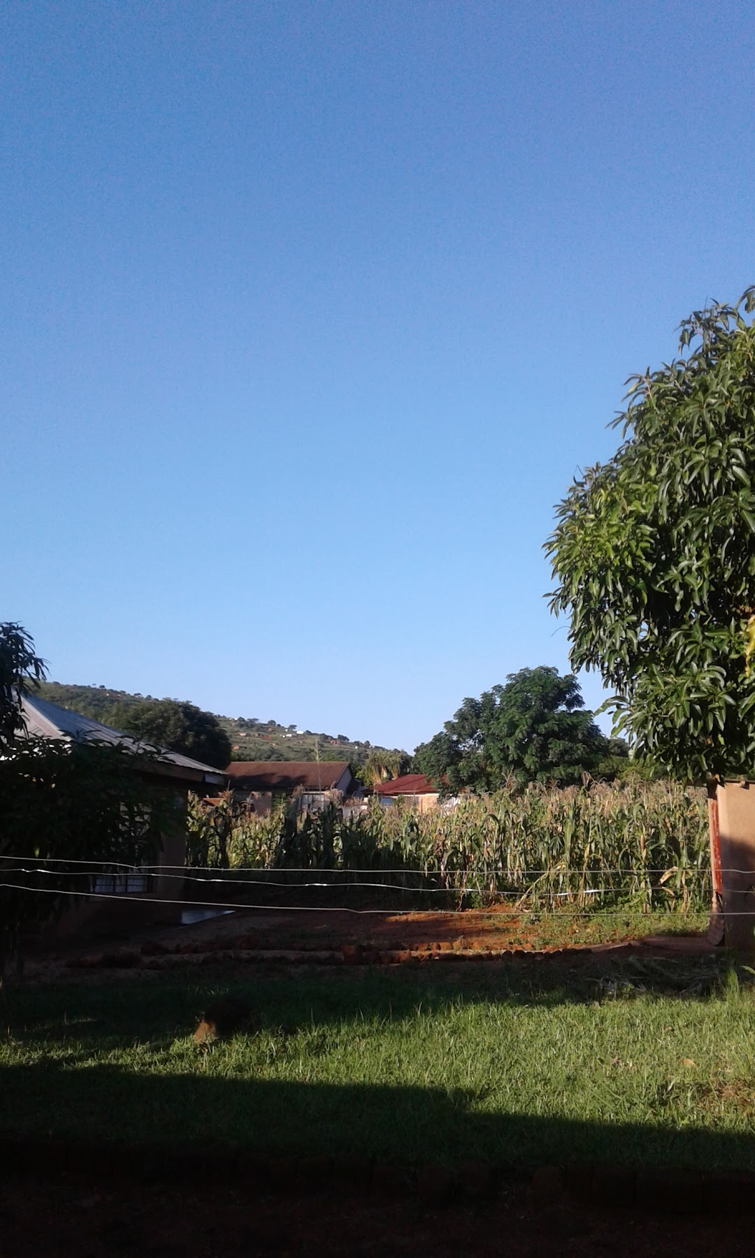 Tshitwani Farms Office in the city Louis Trichardt