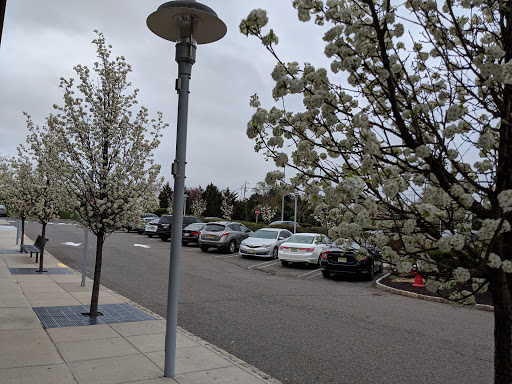 Clothing Store «Banana Republic», reviews and photos, 640 Commons Way, Bridgewater, NJ 08807, USA