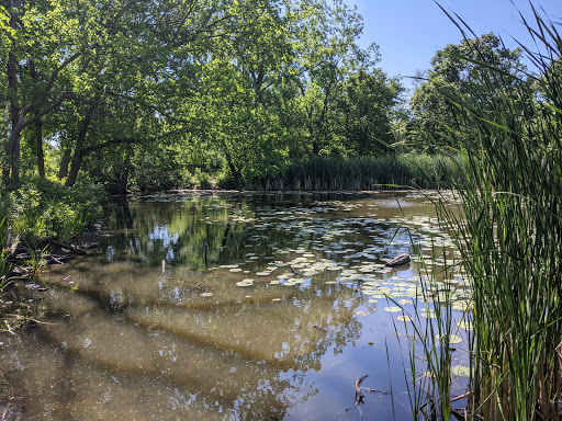 Community Park «Peterson Park», reviews and photos, 5801 N Pulaski Rd, Chicago, IL 60646, USA