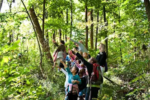 Leslie Science and Nature Center image