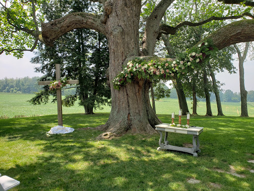 Wedding Venue «Hidden Vineyard Wedding Barn», reviews and photos, 6337 Snyder Rd, Berrien Springs, MI 49103, USA