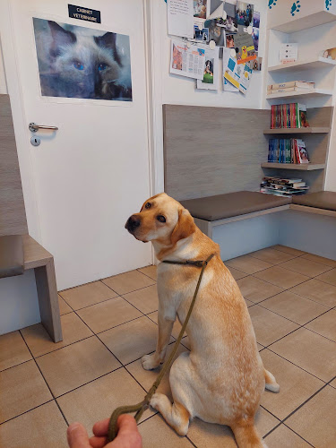 Remion / Virginie - Vilvoorde