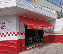 Mr. Pampas do Brasil photo