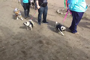 Roxborough Dog Park image