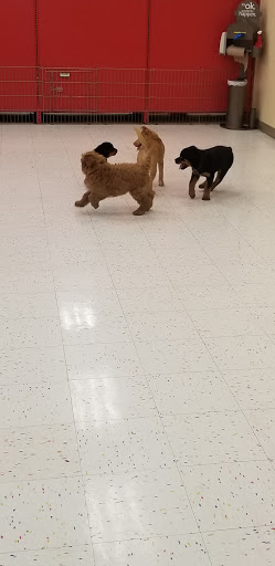 Pet Supply Store «Petco Animal Supplies», reviews and photos, 16095 W Bluemound Rd, Brookfield, WI 53005, USA