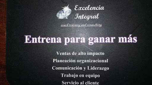 Excelencia Integral