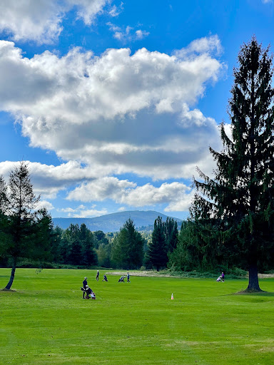 Golf Course «Twin Rivers Golf Course», reviews and photos, 4446 Preston-Fall City Rd SE, Fall City, WA 98024, USA