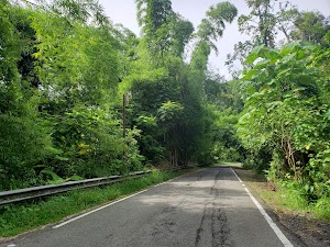 Angelito Trail Head - photo 5
