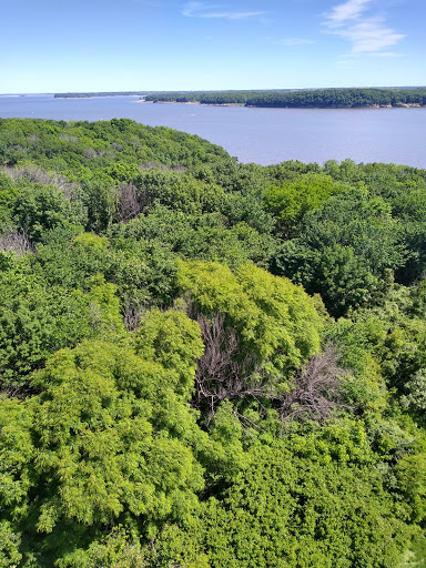 Tourist Attraction «Cordova Observation Tower», reviews and photos, 1293 Emerald Ave, Otley, IA 50214, USA