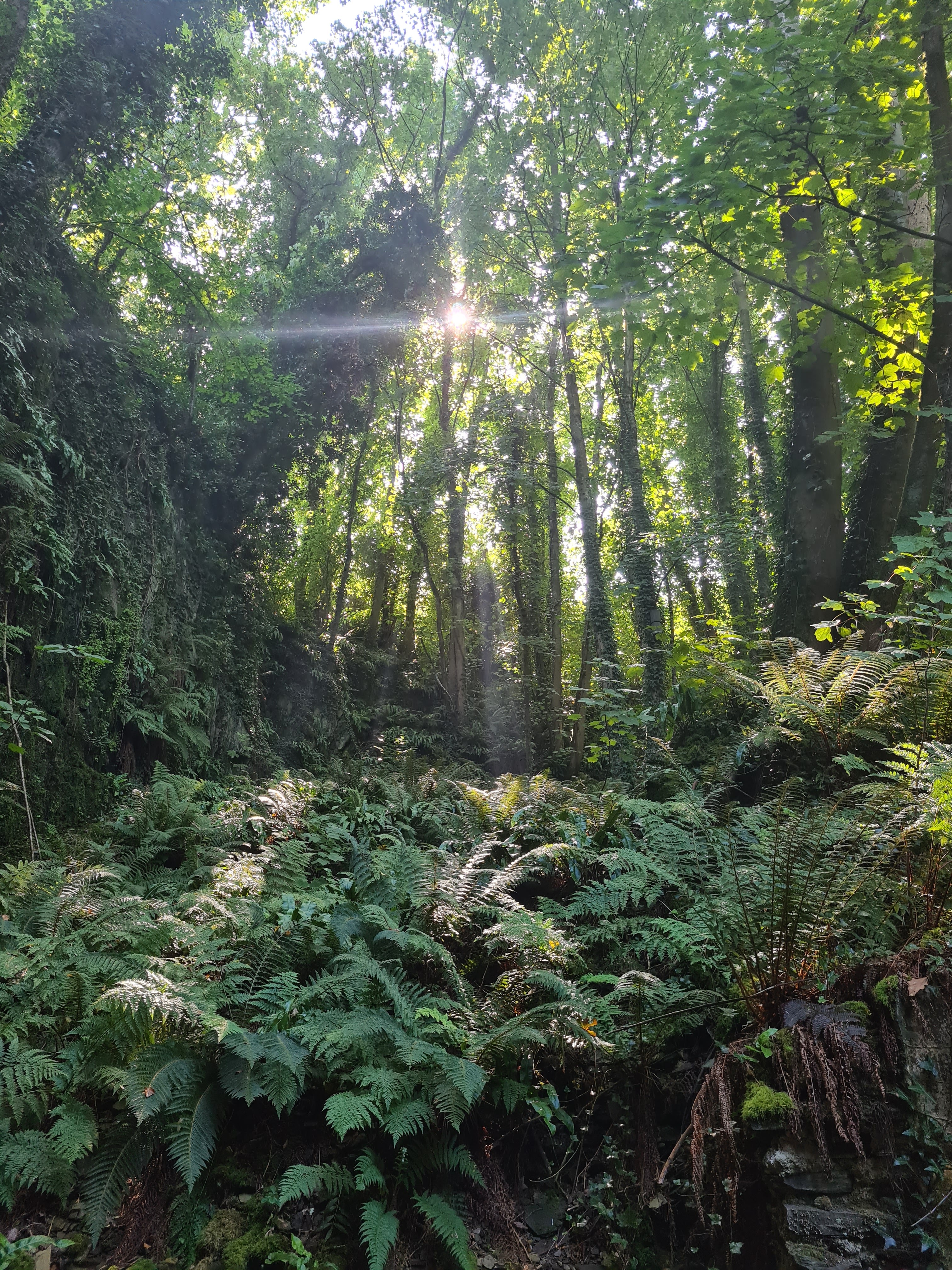 Photo n° 7 de l'avis de Stephanie.i fait le 07/09/2021 à 14:29