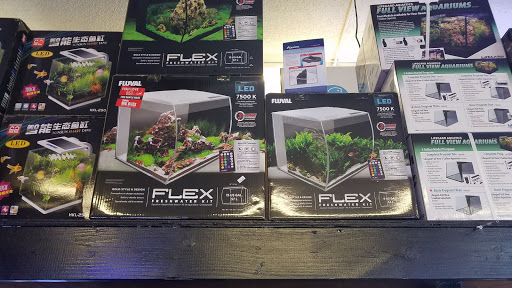 Tropical Fish Store «C K Fish World», reviews and photos, 410 N Azusa Ave, West Covina, CA 91791, USA