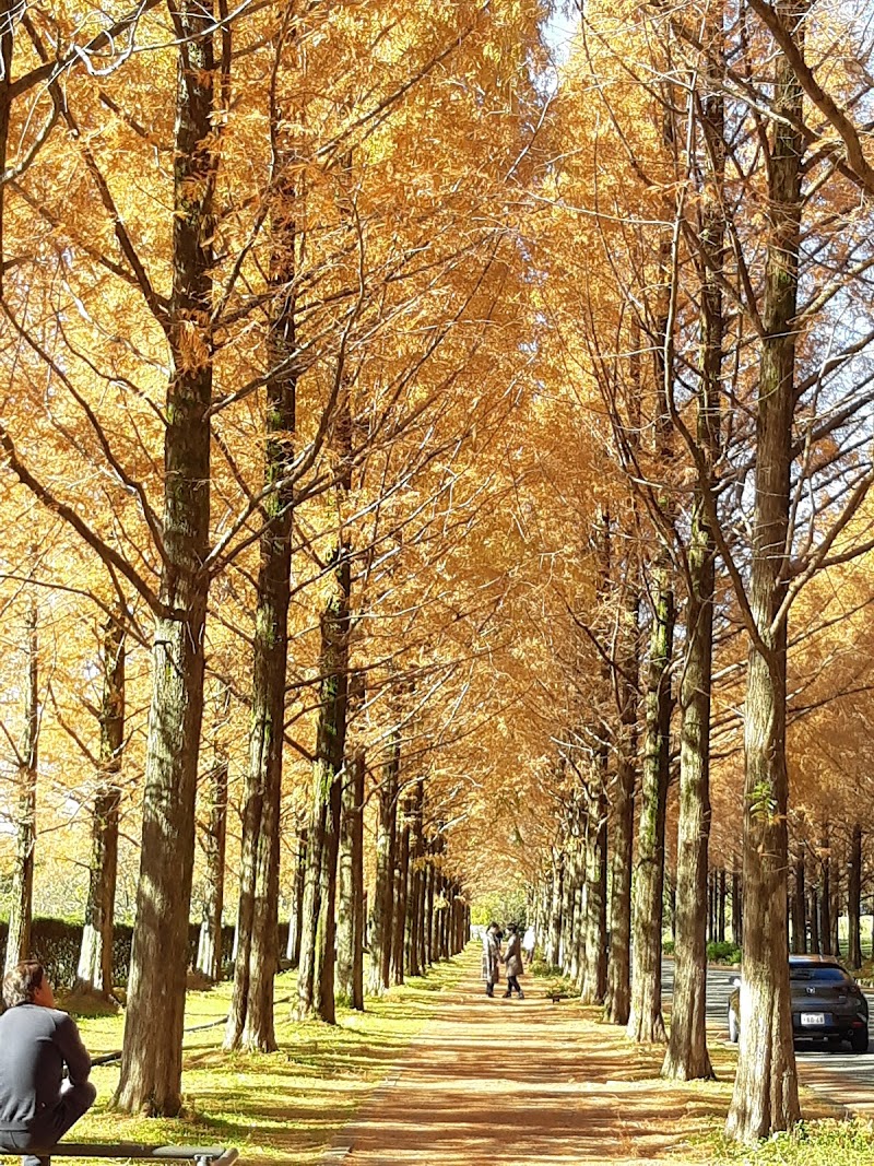 太陽が丘ゆうひみ公園 石川県金沢市太陽が丘 公園 公園 グルコミ