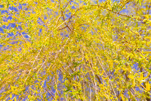 Education «Omega Institute for Holistic Studies», reviews and photos, 150 Lake Dr, Rhinebeck, NY 12572, USA