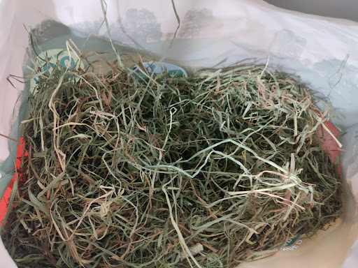 Pet Supply Store «Pet Supplies Plus», reviews and photos, 601 Portion Rd, Lake Ronkonkoma, NY 11779, USA