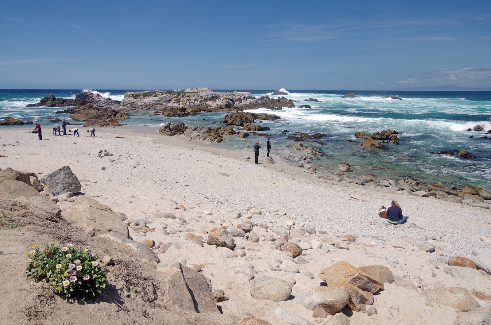 Point Pinos beach的照片 带有明亮的沙子和岩石表面