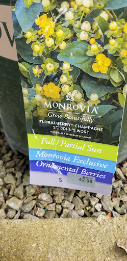 Garden Center «Holscher & Hackman Garden Center», reviews and photos, 6088 Harrison Ave, Cincinnati, OH 45247, USA