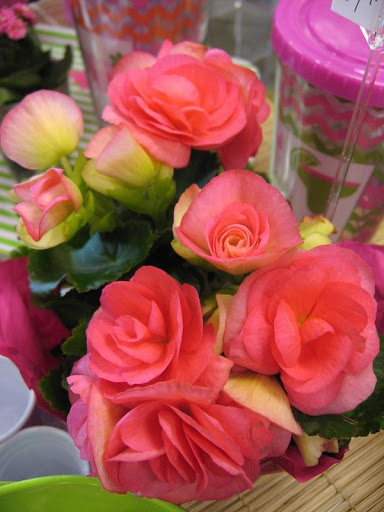 Florist «Best Wishes Floral», reviews and photos, 689 Winnetka Ave N, Golden Valley, MN 55427, USA