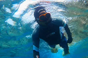 Underwatermonk image