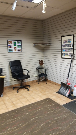 Badminton Court «Egret Badminton», reviews and photos, 1251 Basswood Rd, Schaumburg, IL 60173, USA